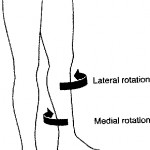 bunions | Complete Health Acupuncture